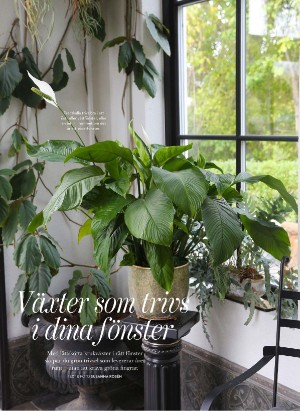 levaochbo-20260108_000_00_00_056.pdf