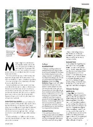 levaochbo-20260108_000_00_00_057.pdf