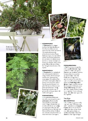 levaochbo-20260108_000_00_00_058.pdf