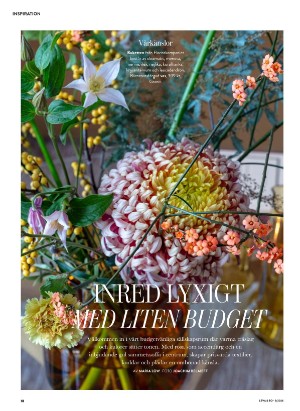 levaochbo-20260115_000_00_00_018.pdf