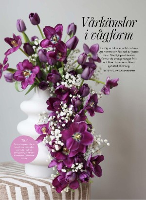 levaochbo-20260122_000_00_00_040.pdf