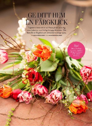 levaochbo-20260129_000_00_00_032.pdf