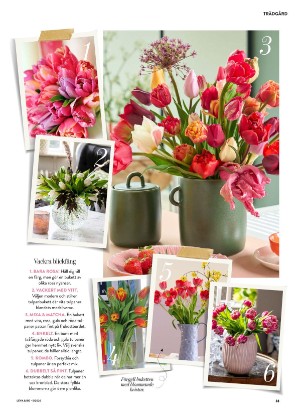 levaochbo-20260129_000_00_00_033.pdf