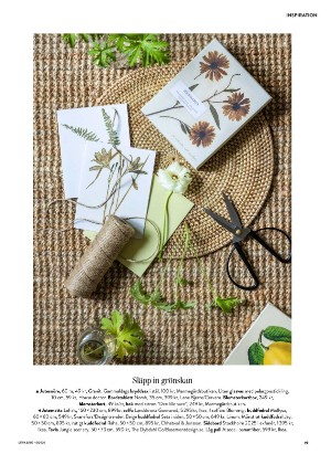 levaochbo-20260205_000_00_00_019.pdf