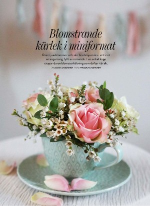 levaochbo-20260205_000_00_00_058.pdf