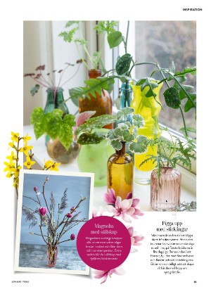 levaochbo-20260212_000_00_00_035.pdf