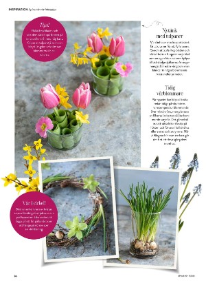 levaochbo-20260212_000_00_00_036.pdf