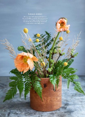 levaochbo-20260212_000_00_00_037.pdf