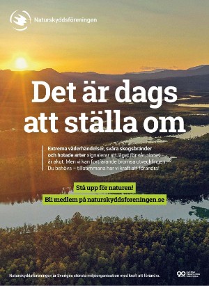 levaochbo-20260212_000_00_00_075.pdf