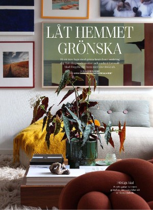 levaochbo-20260219_000_00_00_032.pdf