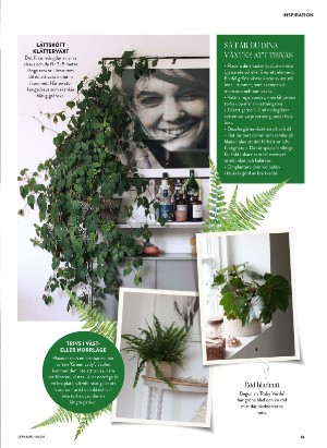 levaochbo-20260219_000_00_00_033.pdf