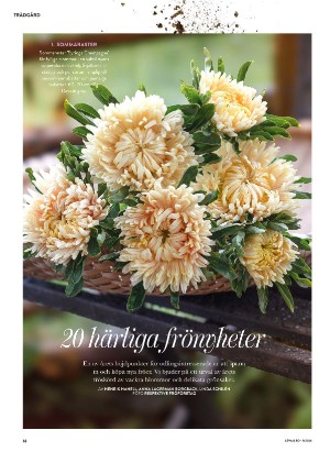 levaochbo-20260226_000_00_00_032.pdf