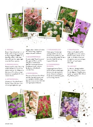 levaochbo-20260226_000_00_00_033.pdf