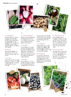 levaochbo-20260226_000_00_00_034.pdf