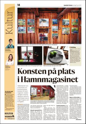 ljusdalsposten-20170617_000_00_00_014.pdf