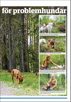 ljusdalsposten-20200528_000_00_00_009.pdf