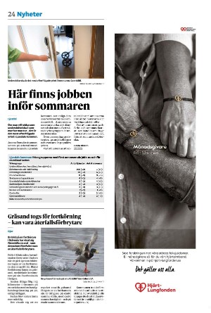 ljusdalsposten-20250519_000_00_00_024.pdf