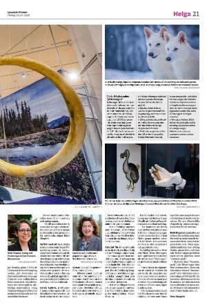 ljusdalsposten-20250613_000_00_00_021.pdf
