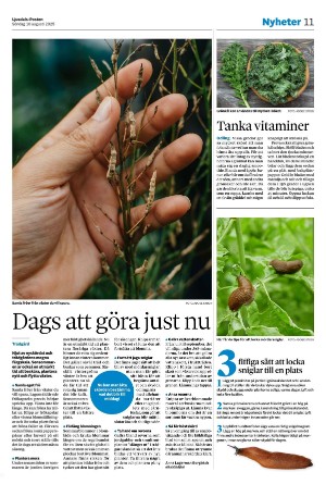 ljusdalsposten-20250810_000_00_00_011.pdf