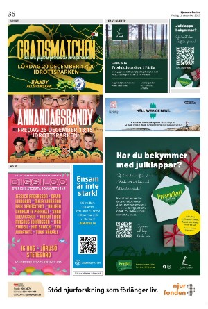 ljusdalsposten-20251219_000_00_00_036.pdf
