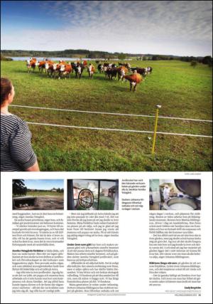 ljusdalsposten_bilag1-20150613_000_00_00_081.pdf