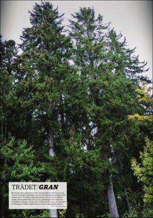 ljusdalsposten_bilag1-20160920_000_00_00_016.pdf