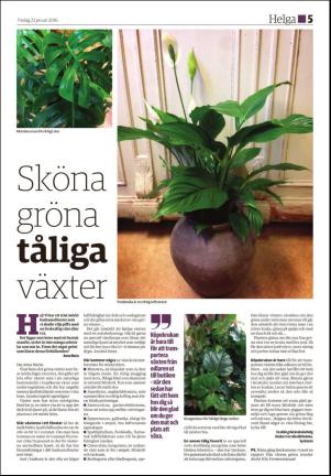 ljusdalsposten_d-20160122_000_00_00_005.pdf