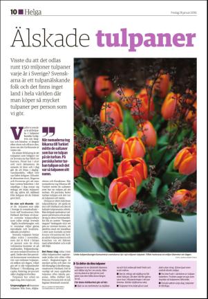 ljusdalsposten_d-20160129_000_00_00_010.pdf