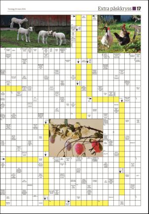 ljusdalsposten_d-20160324_000_00_00_017.pdf