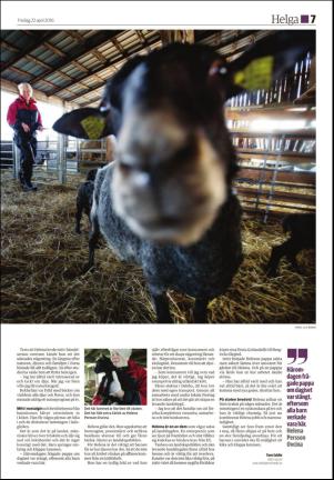 ljusdalsposten_d-20160422_000_00_00_007.pdf