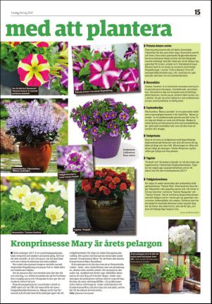 ljusdalsposten_d-20170519_000_00_00_015.pdf