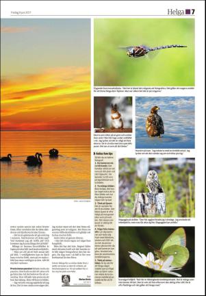 ljusdalsposten_d-20170609_000_00_00_007.pdf