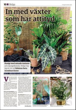 ljusdalsposten_d-20171020_000_00_00_010.pdf