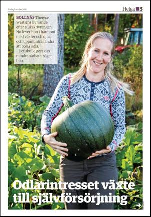 ljusdalsposten_d-20181005_000_00_00_005.pdf