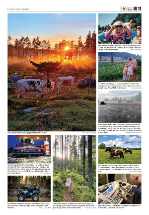 ljusdalsposten_d-20210924_000_00_00_011.pdf