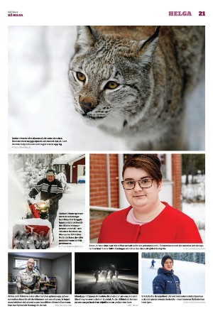 ljusdalsposten_d-20220127_000_00_00_021.pdf
