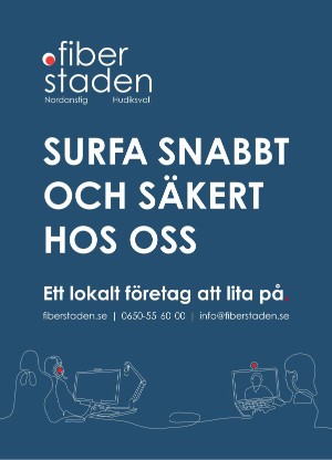 ljusdalsposten_r-20250617_000_00_00_007.pdf