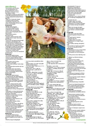 ljusdalsposten_r-20250617_000_00_00_091.pdf