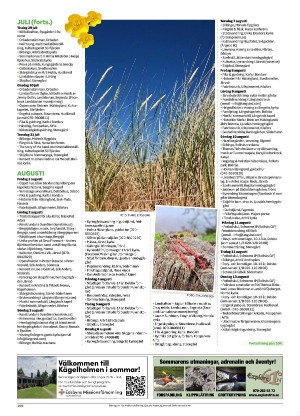 ljusdalsposten_r-20250617_000_00_00_100.pdf