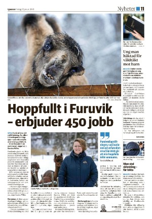 ljusnan-20210122_000_00_00_011.pdf