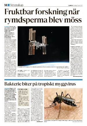 ljusnan-20210620_000_00_00_014.pdf