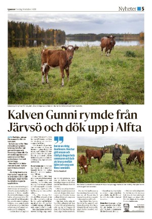 ljusnan-20231019_000_00_00_005.pdf