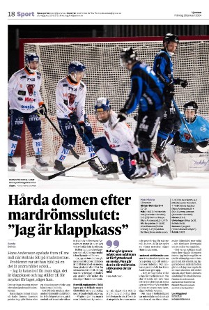 ljusnan-20240129_000_00_00_018.pdf