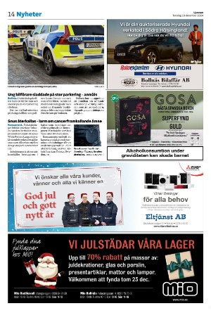 ljusnan-20241219_000_00_00_014.pdf