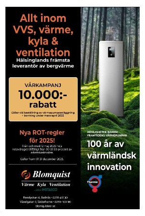 ljusnan-20250411_000_00_00_009.pdf