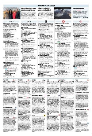 ljusnan-20250411_000_00_00_042.pdf