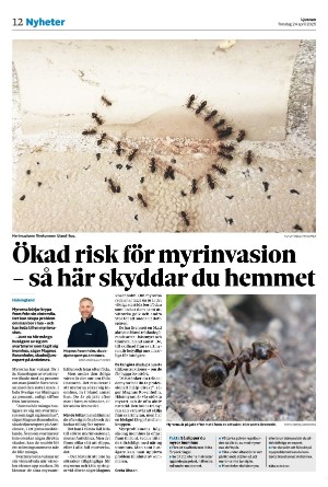ljusnan-20250424_000_00_00_012.pdf