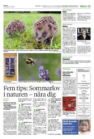 ljusnan-20250612_000_00_00_015.pdf