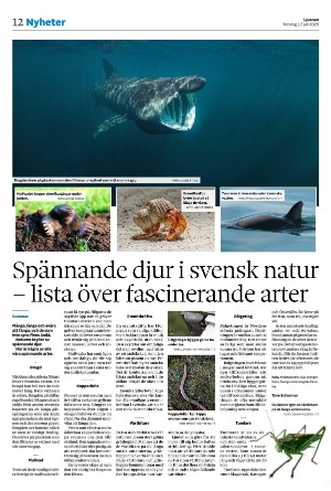 ljusnan-20250717_000_00_00_012.pdf