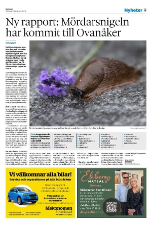 ljusnan-20250828_000_00_00_009.pdf